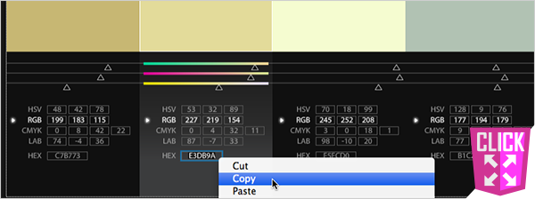 mouse selecting copy from a drop-down menu next to a text box with HEX written next to it